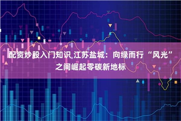 配资炒股入门知识 江苏盐城：向绿而行 “风光”之间崛起零碳新地标